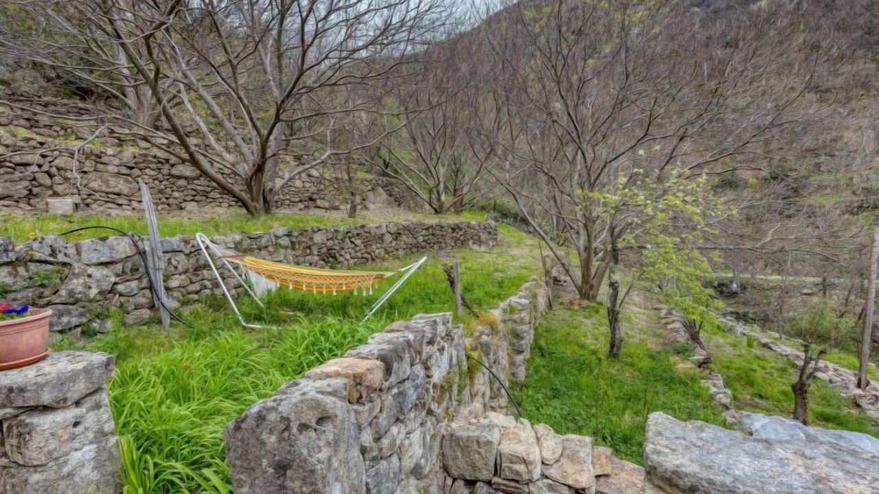 Photo of Outdoor in Sainte-Marguerite-Lafigere