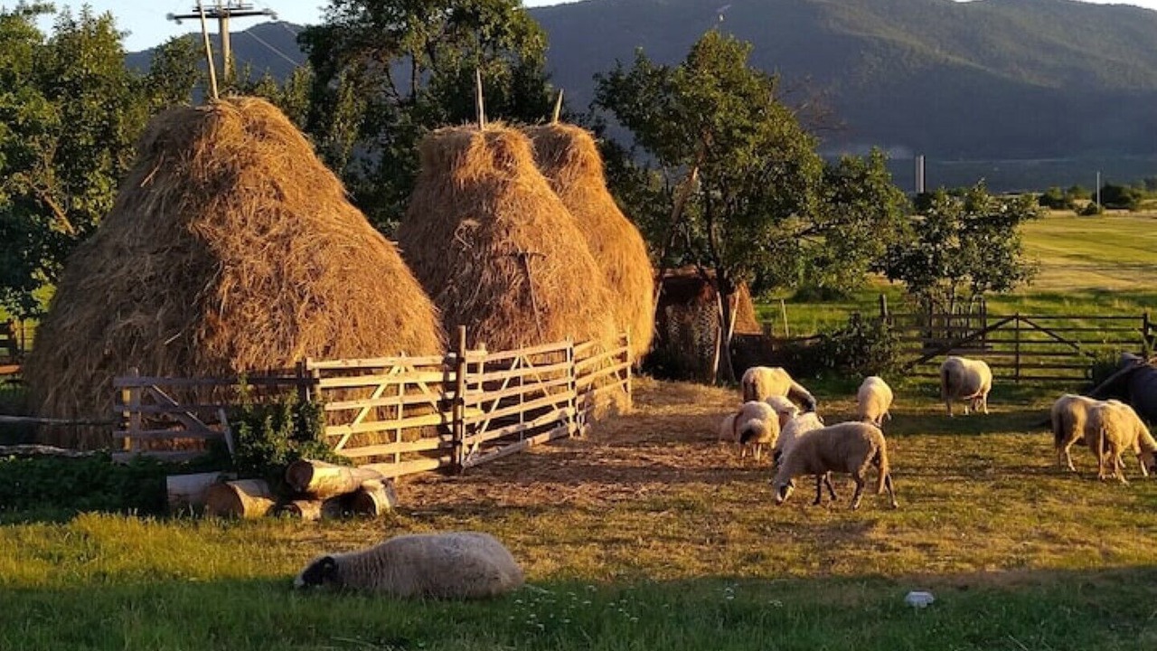 Photo of Outdoor in Otocac