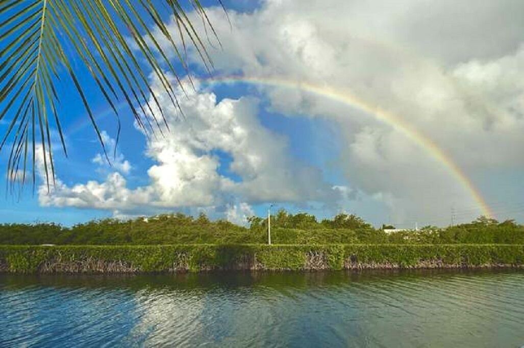 Photo of Others in Key Colony Beach