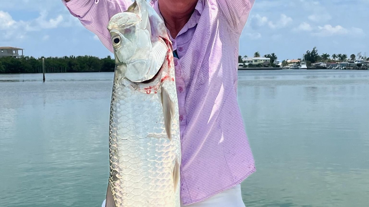 Photo of Others in Key Colony Beach
