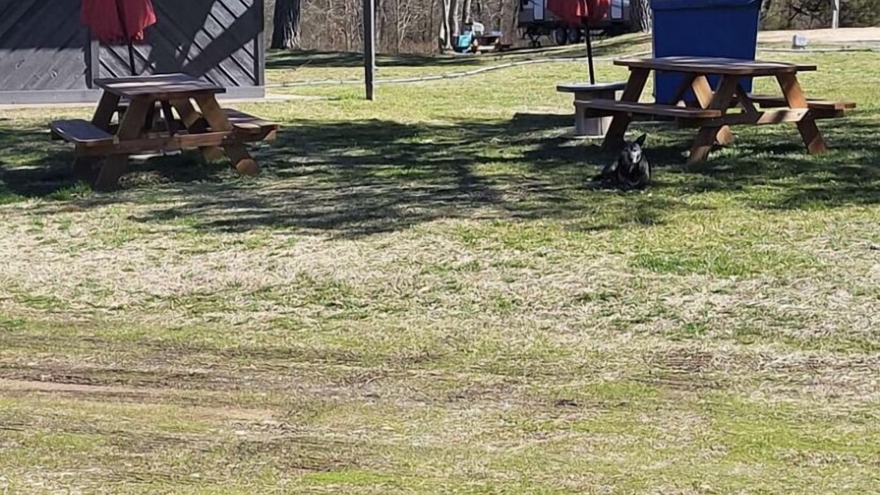 Photo of Outdoor in Proctor