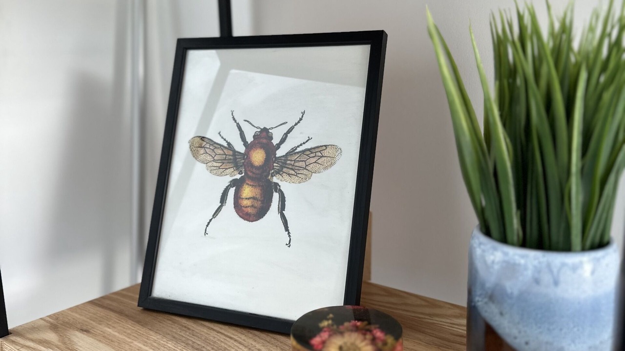 Photo of Others in Redcliffe