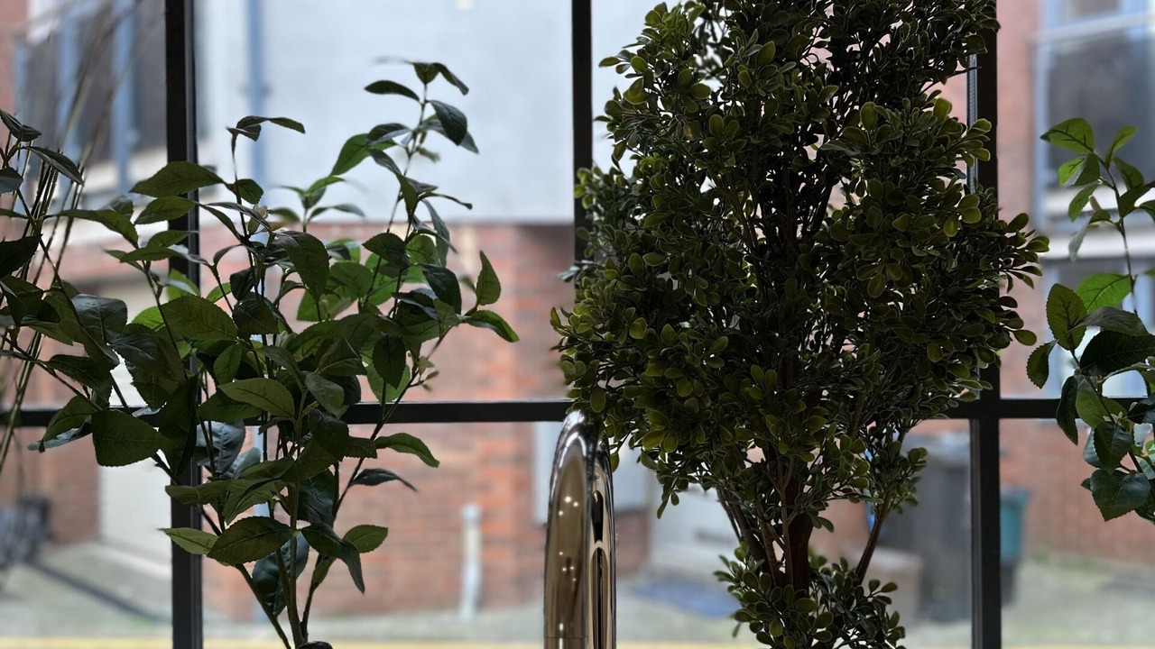 Photo of Others in Redcliffe