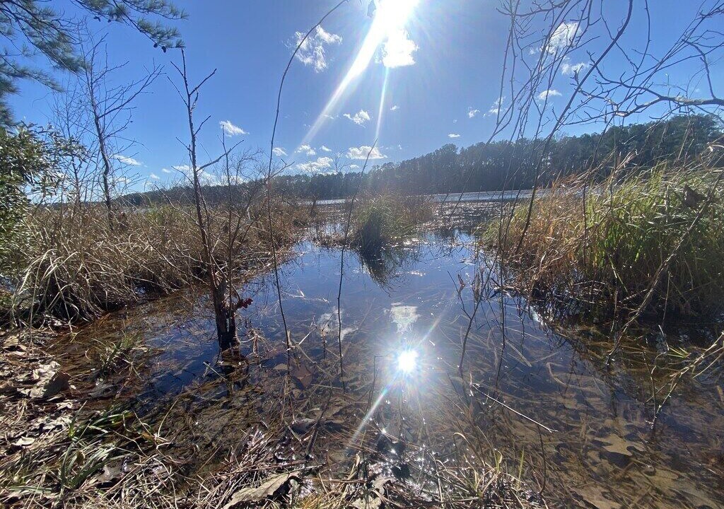 Photo of Outdoor in Lena