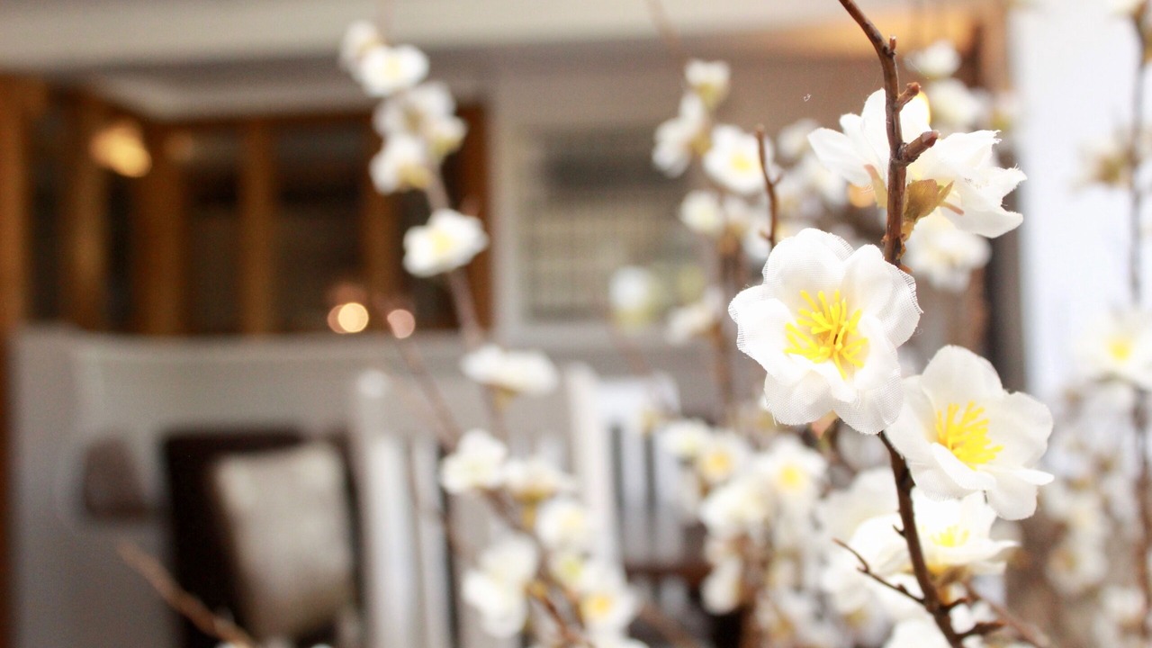 Photo of Others in Rye Foreign