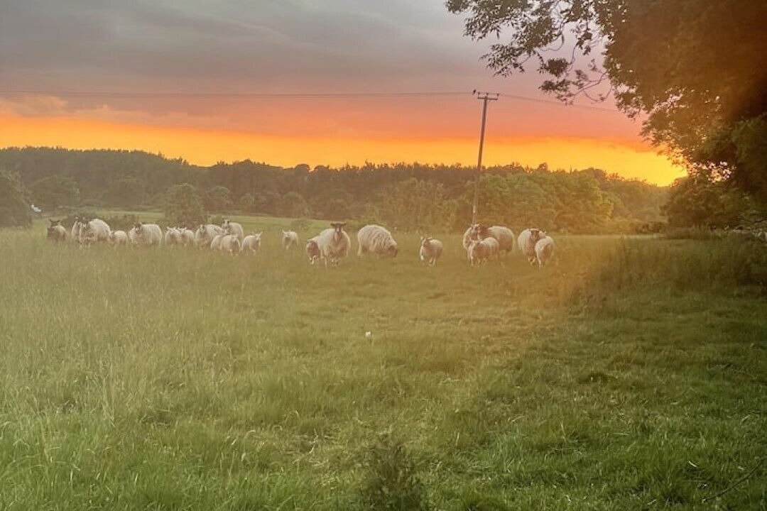 Photo of Others in Callow Hill