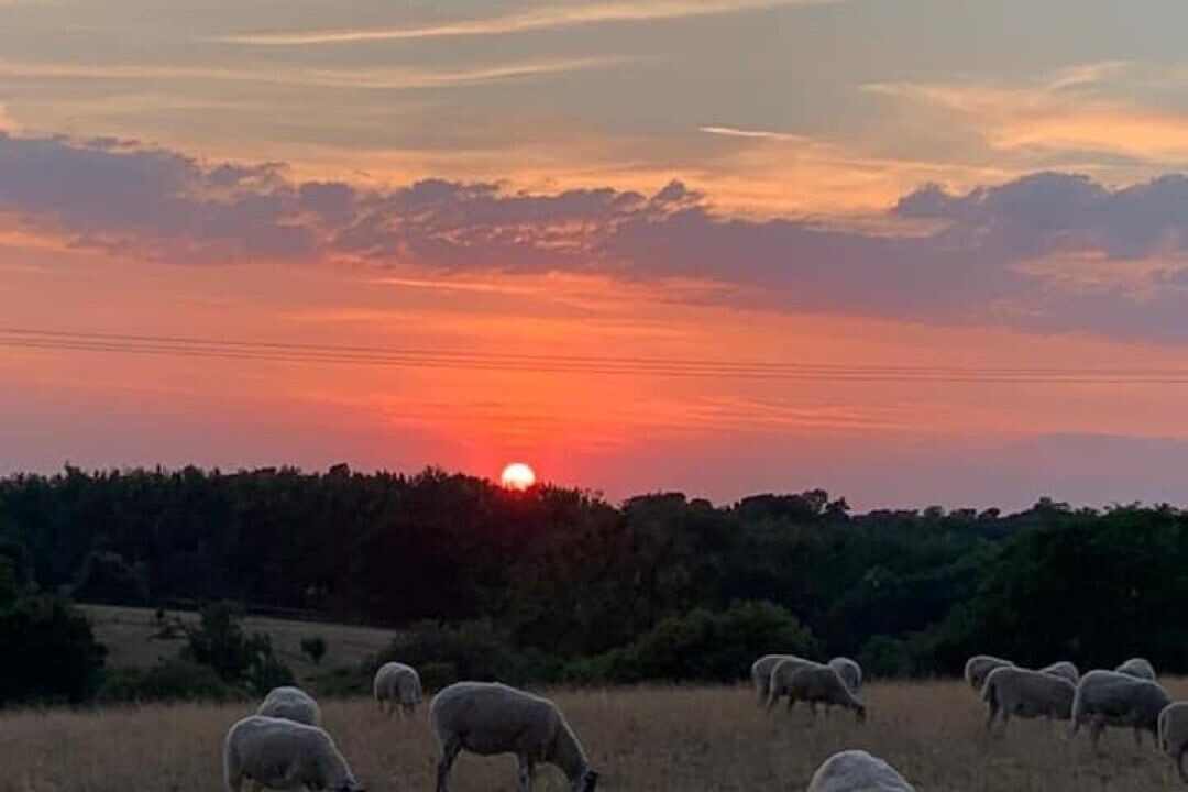 Photo of Outdoor in Callow Hill