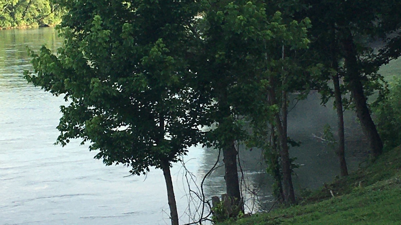 Photo of Others in Calico Rock