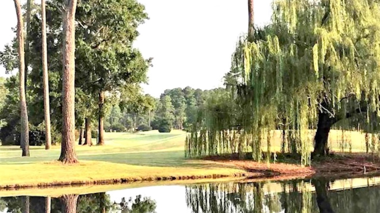 Photo of Others in Carolina Forest