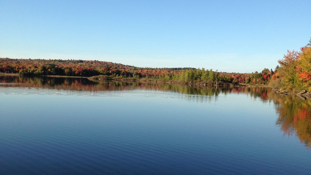 Photo of Others in Dexter