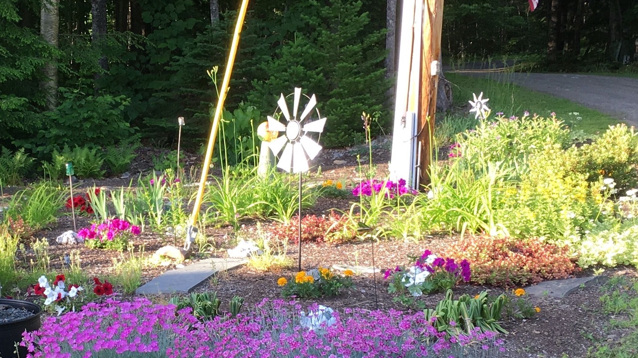 Photo of Outdoor in Dexter