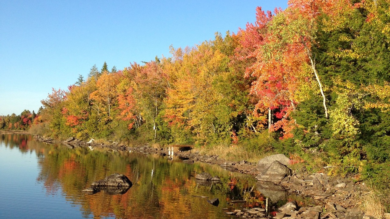 Photo of Others in Dexter