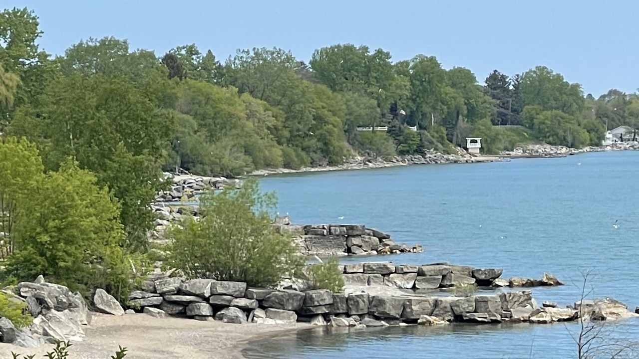 Photo of Others in North Bay