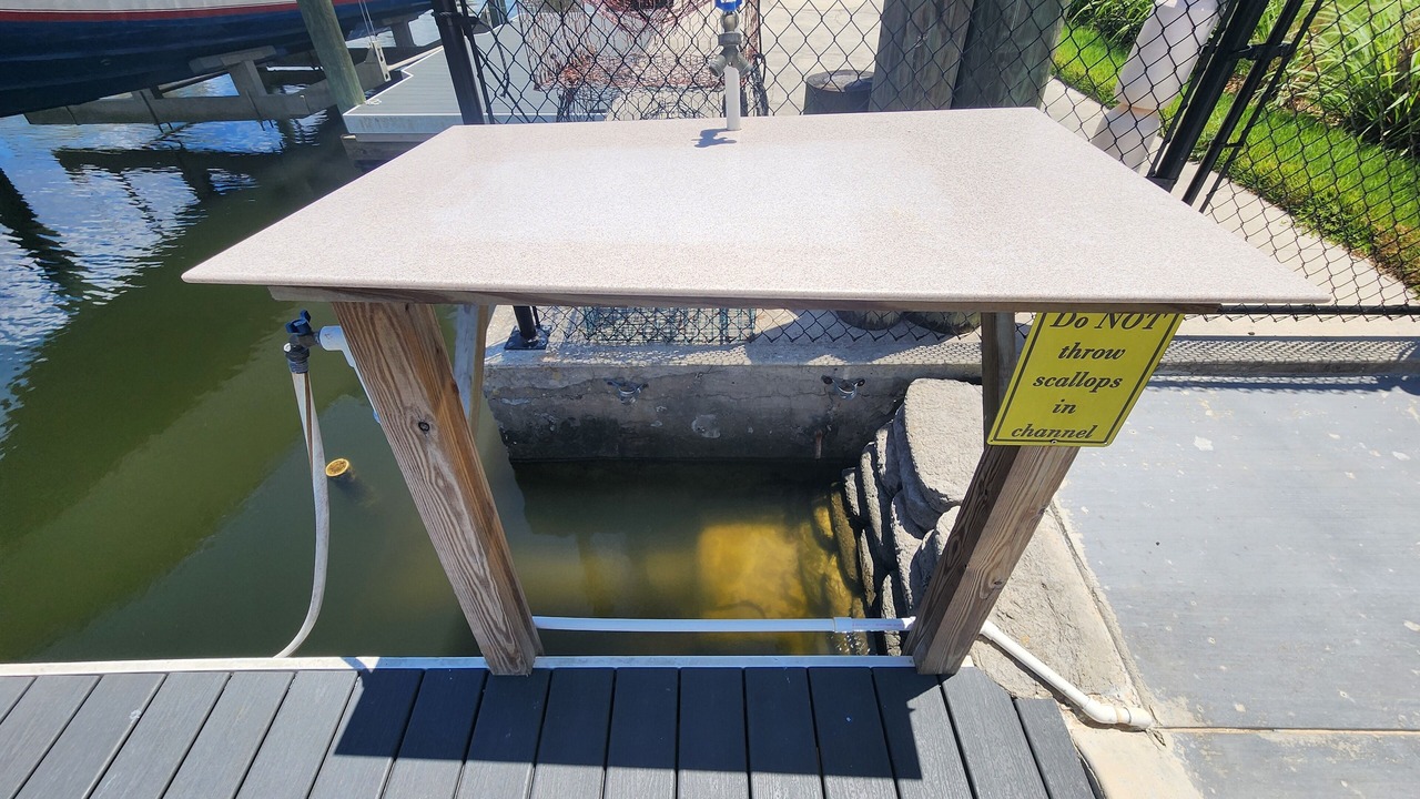 Photo of Others in Crystal River