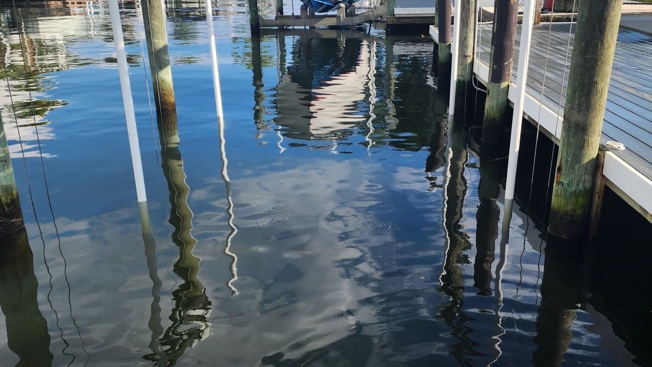 Photo of Outdoor in Crystal River