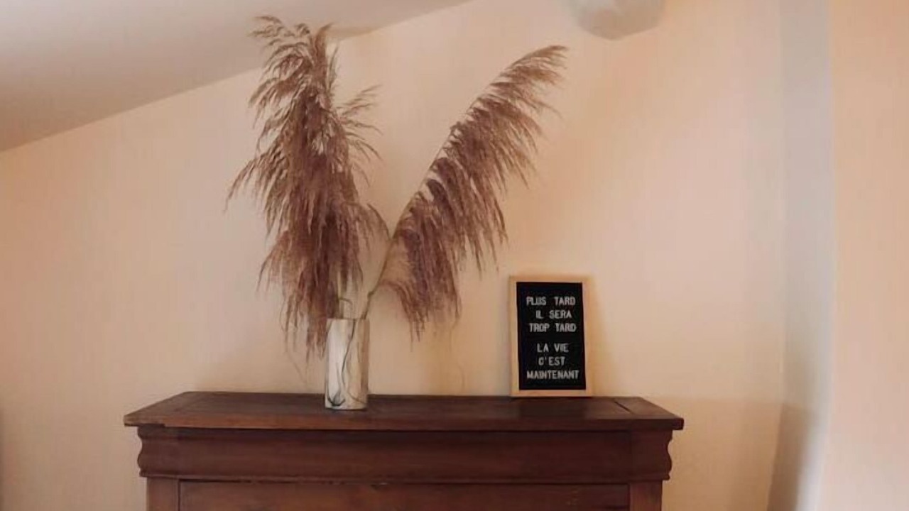 Photo of Others in Sainte Gemme