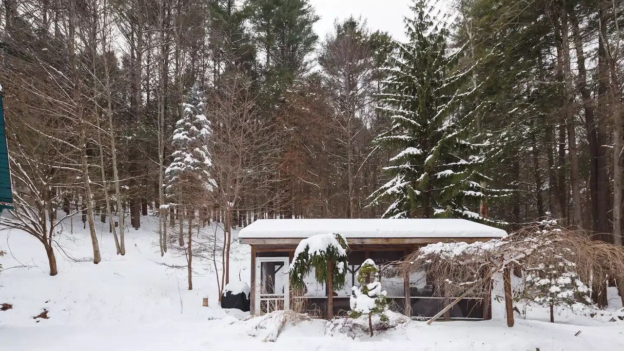 Photo of Outdoor in Shady