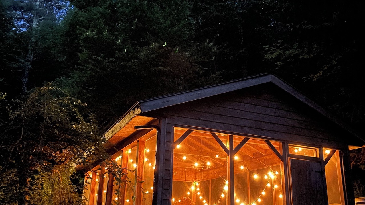 Photo of Outdoor in Shady