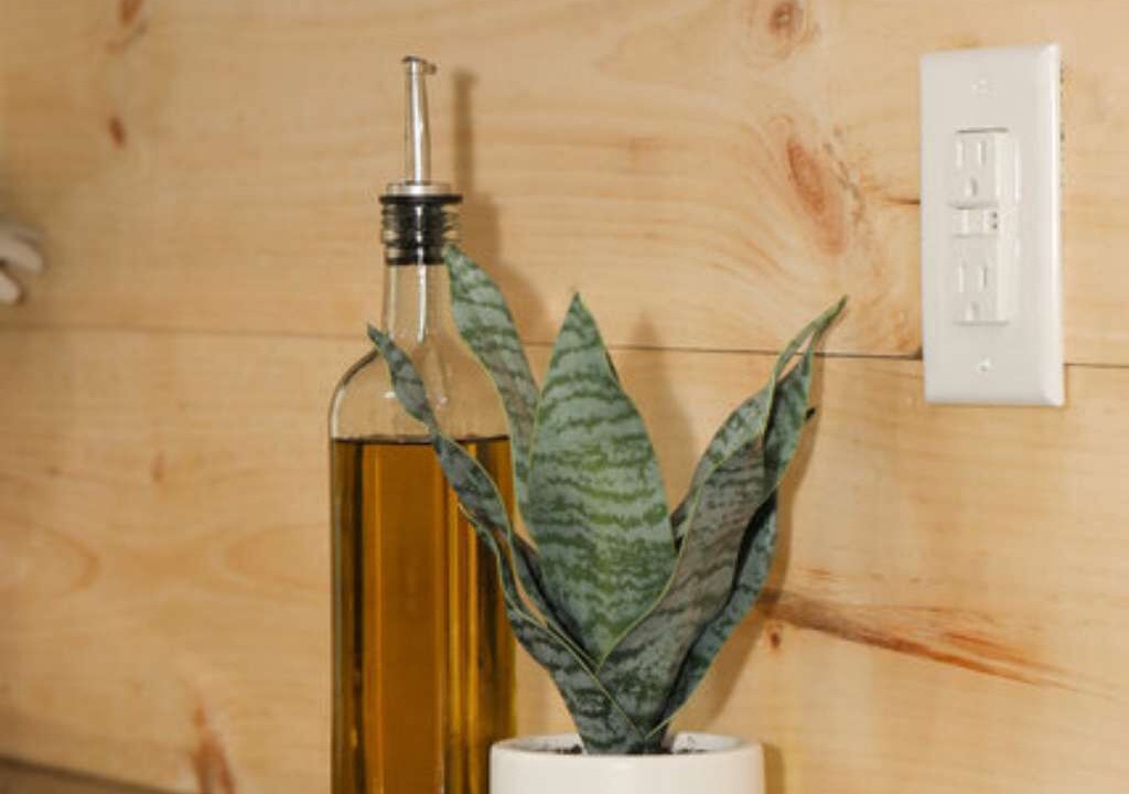 Photo of Others in Milroy