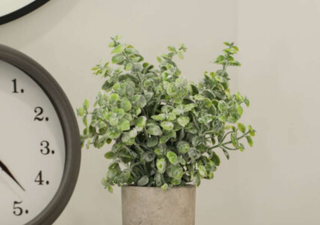 Photo of Others in Milroy