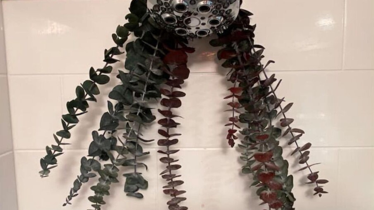 Photo of Others in Warren