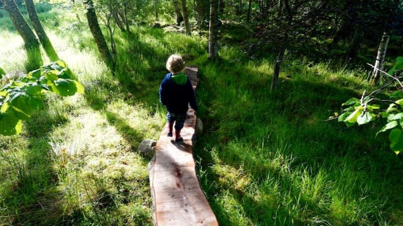 Photo of Others in Nethy Bridge