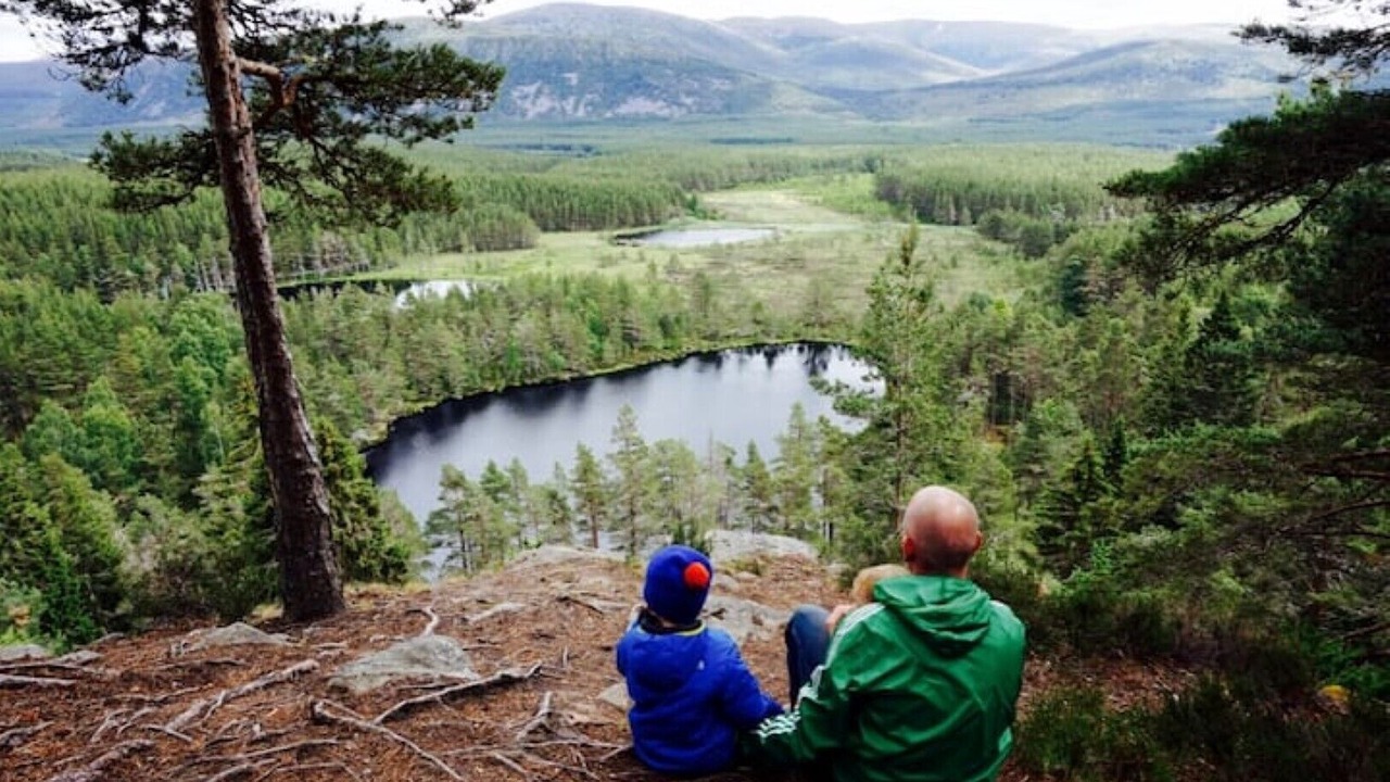 Photo of Others in Nethy Bridge