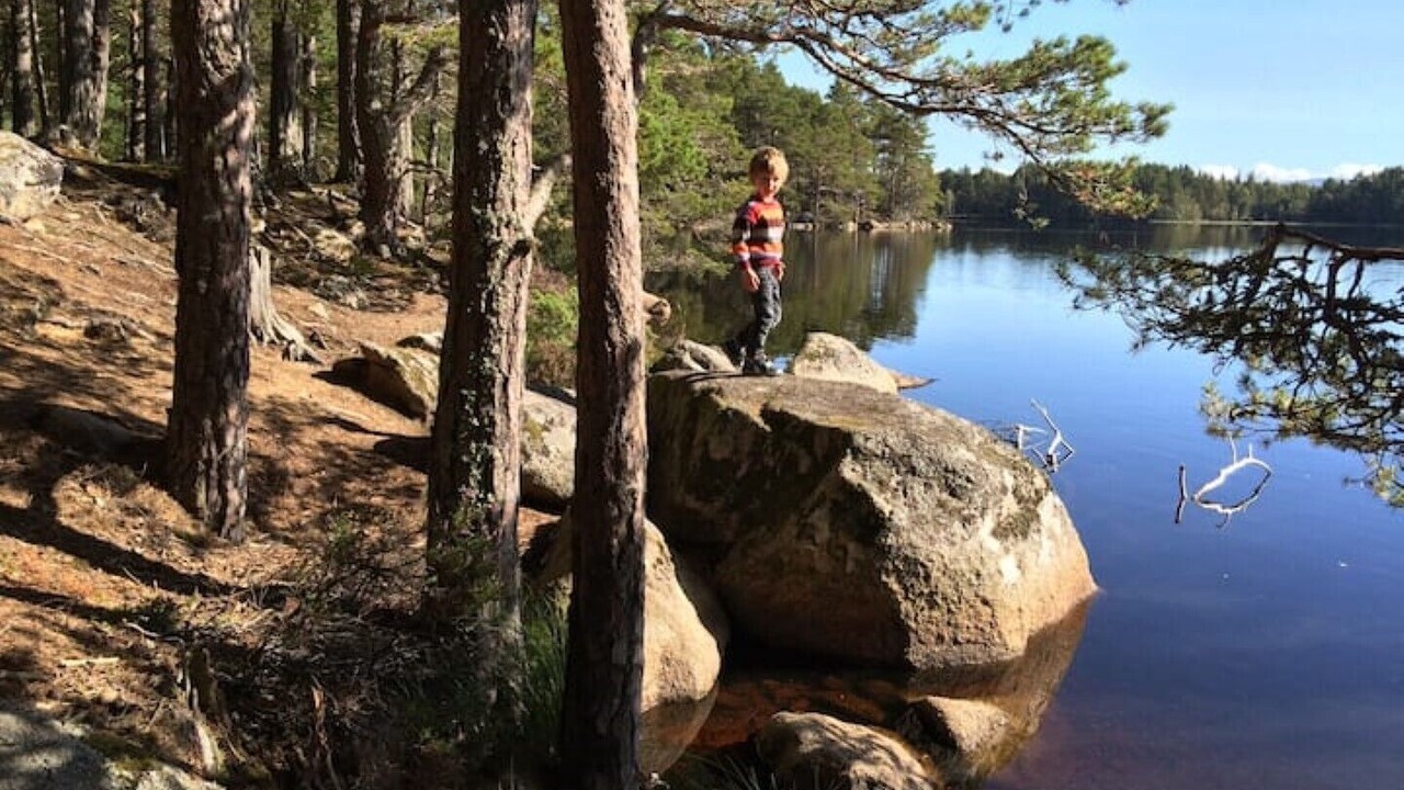 Photo of Outdoor in Nethy Bridge