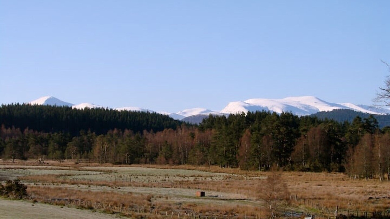 Photo of Outdoor in Nethy Bridge