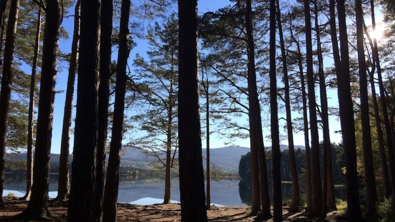 Photo of Outdoor in Nethy Bridge