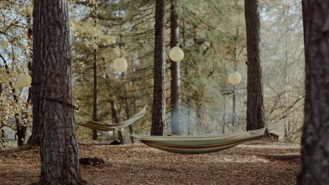 Photo of Outdoor in Nethy Bridge