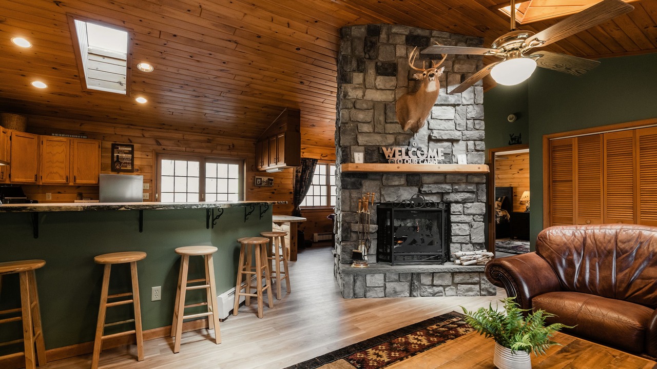 Photo of Livingroom in Downsville