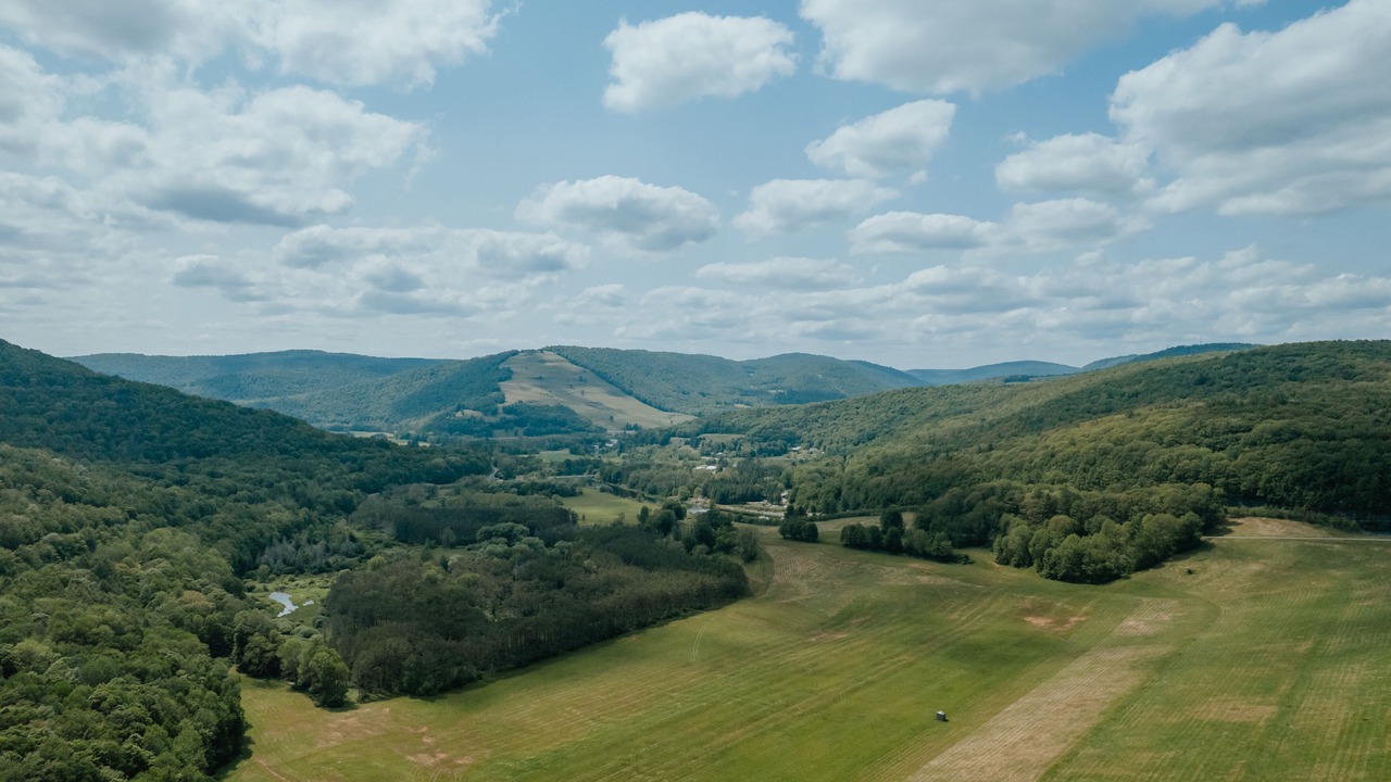 Photo of Outdoor in Downsville