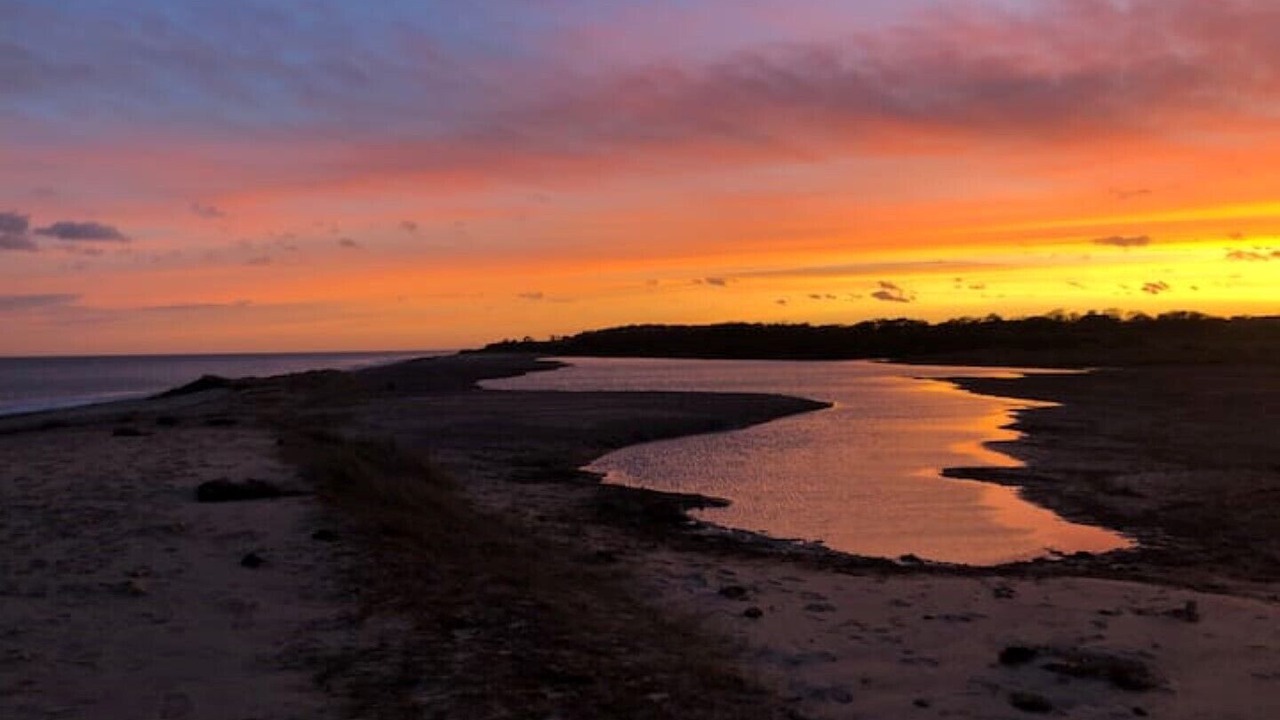 Photo of Others in Kessingland