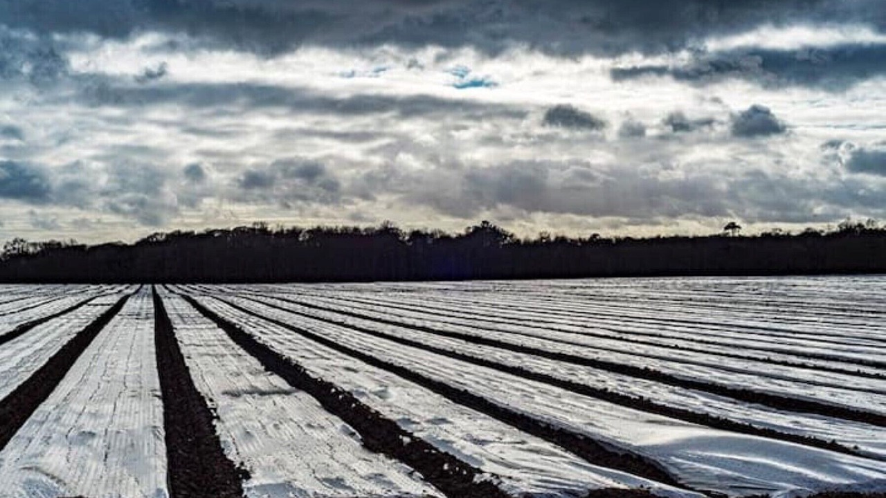 Photo of Others in Kessingland