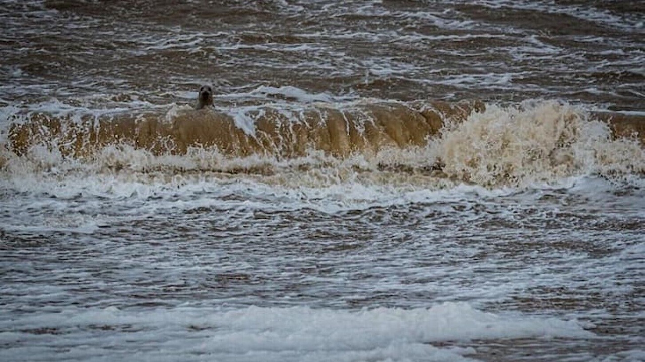 Photo of Others in Kessingland