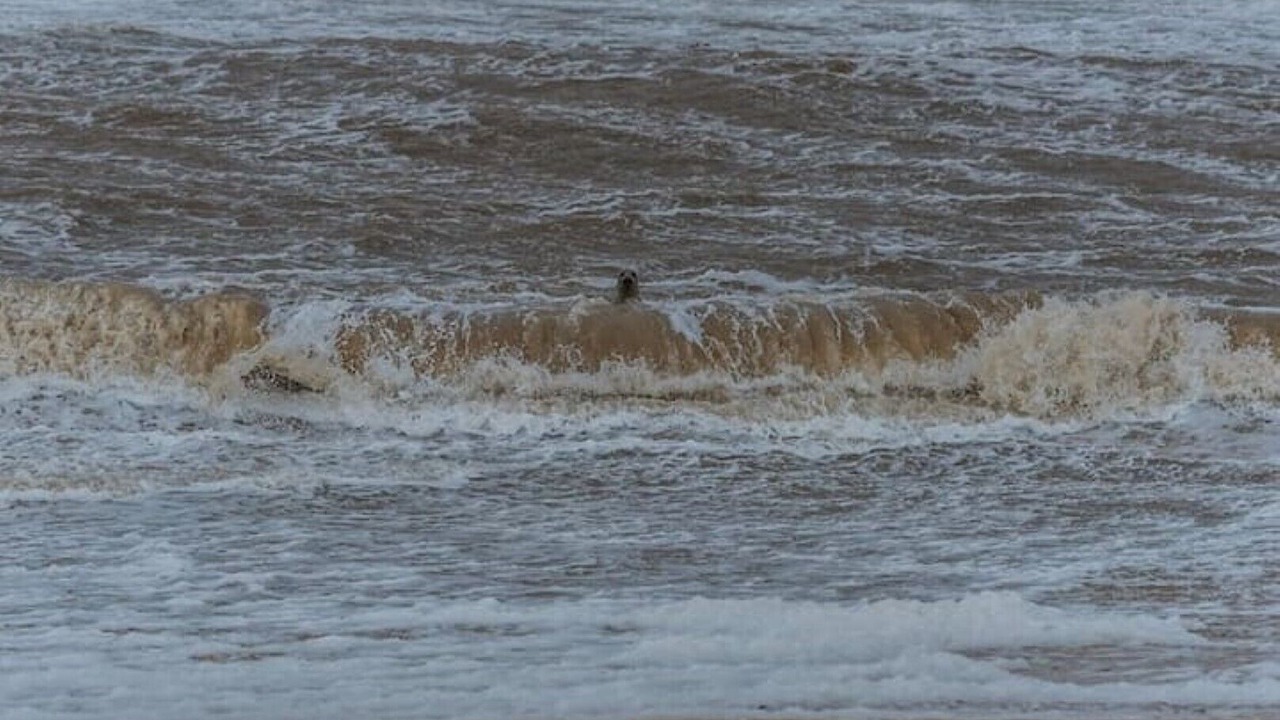 Photo of Others in Kessingland