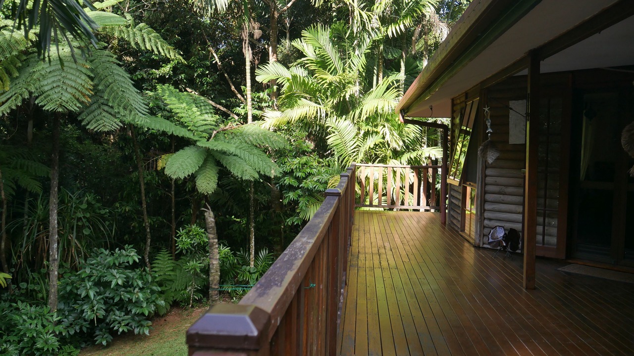 Photo of Outdoor in Cow Bay