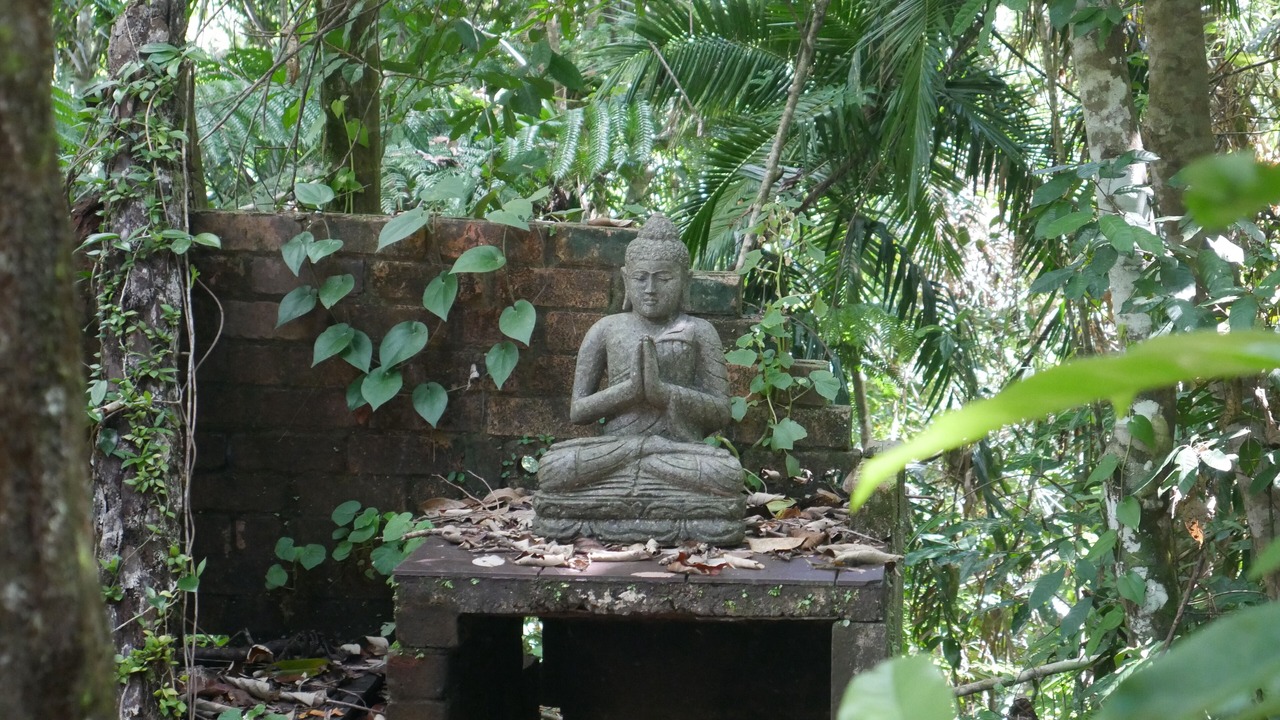 Photo of Outdoor in Cow Bay