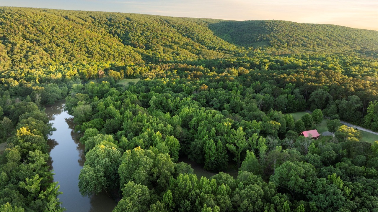 Photo of Outdoor in Pickens