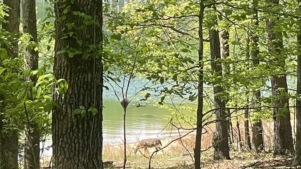 Photo of Outdoor in Jefferson City
