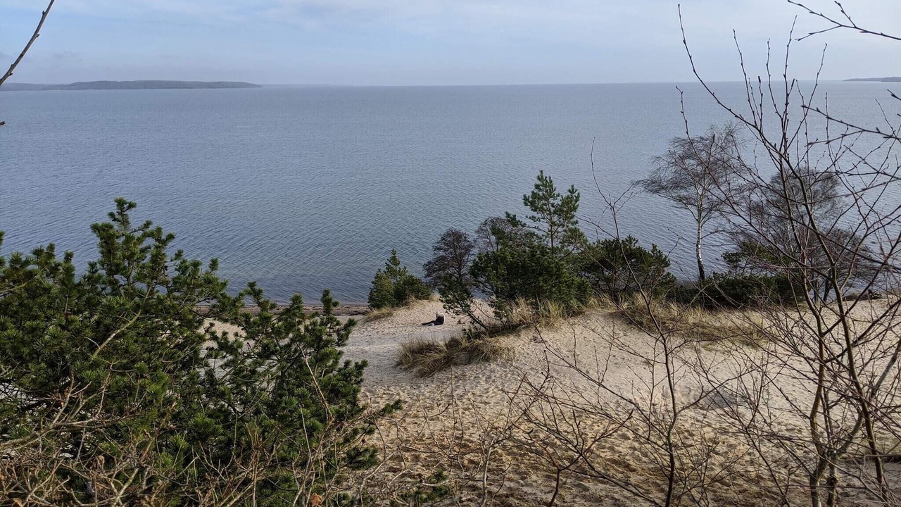 Photo of Others in Hvidbjerg Strand