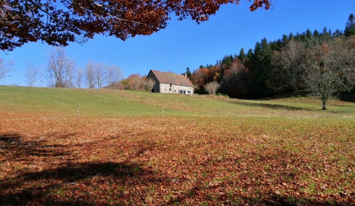 Photo of Others in Saint-Donat