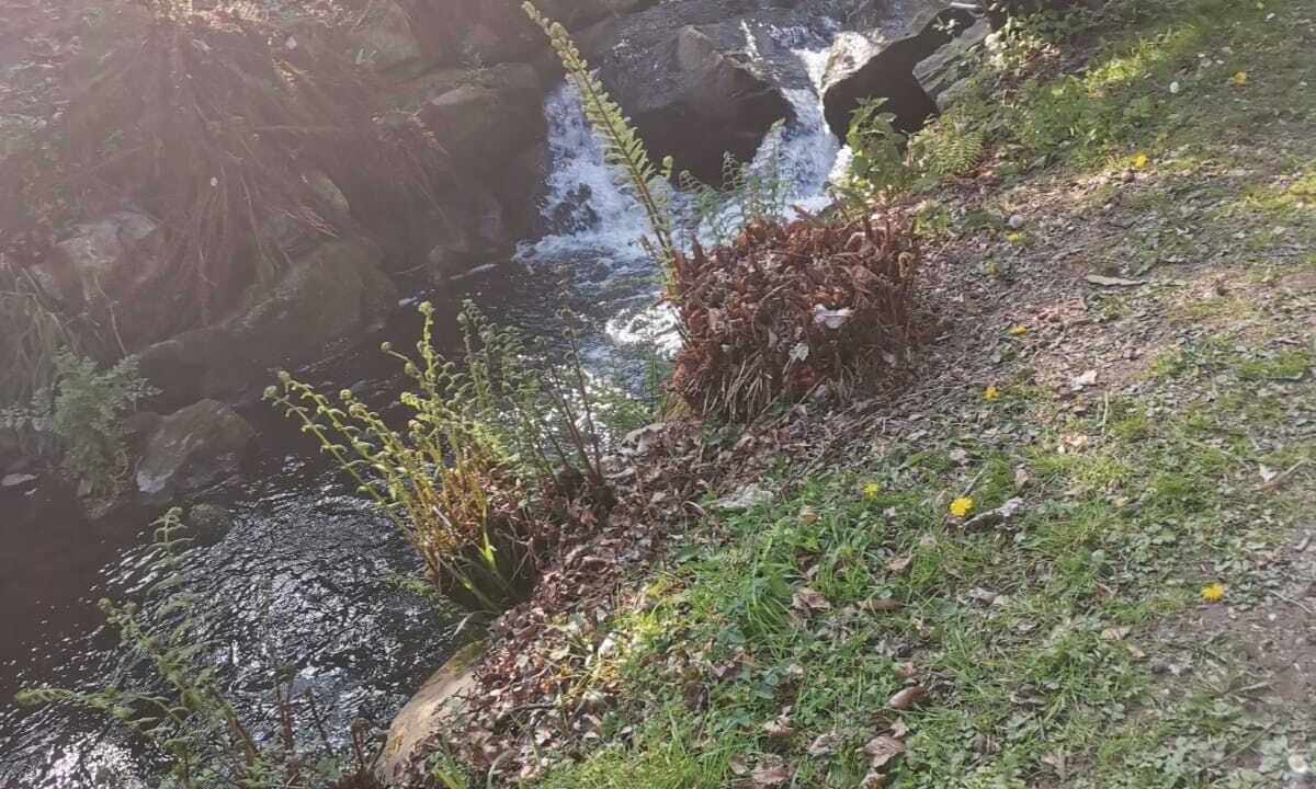 Photo of Outdoor in Saint-Marc