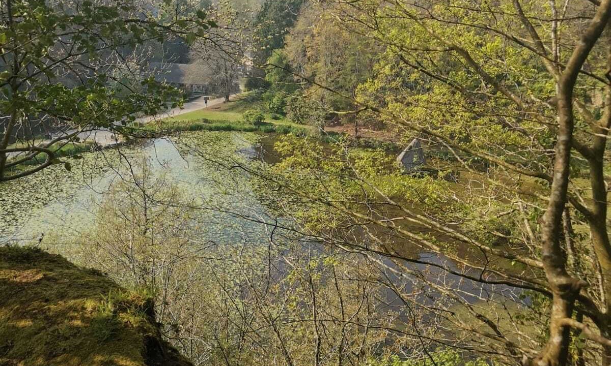 Photo of Others in Saint-Marc