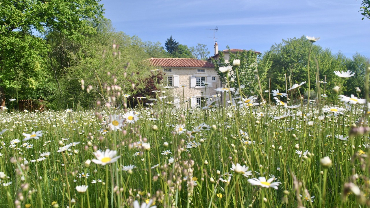 Photo of Outdoor in Nanteuil-en-Vallee