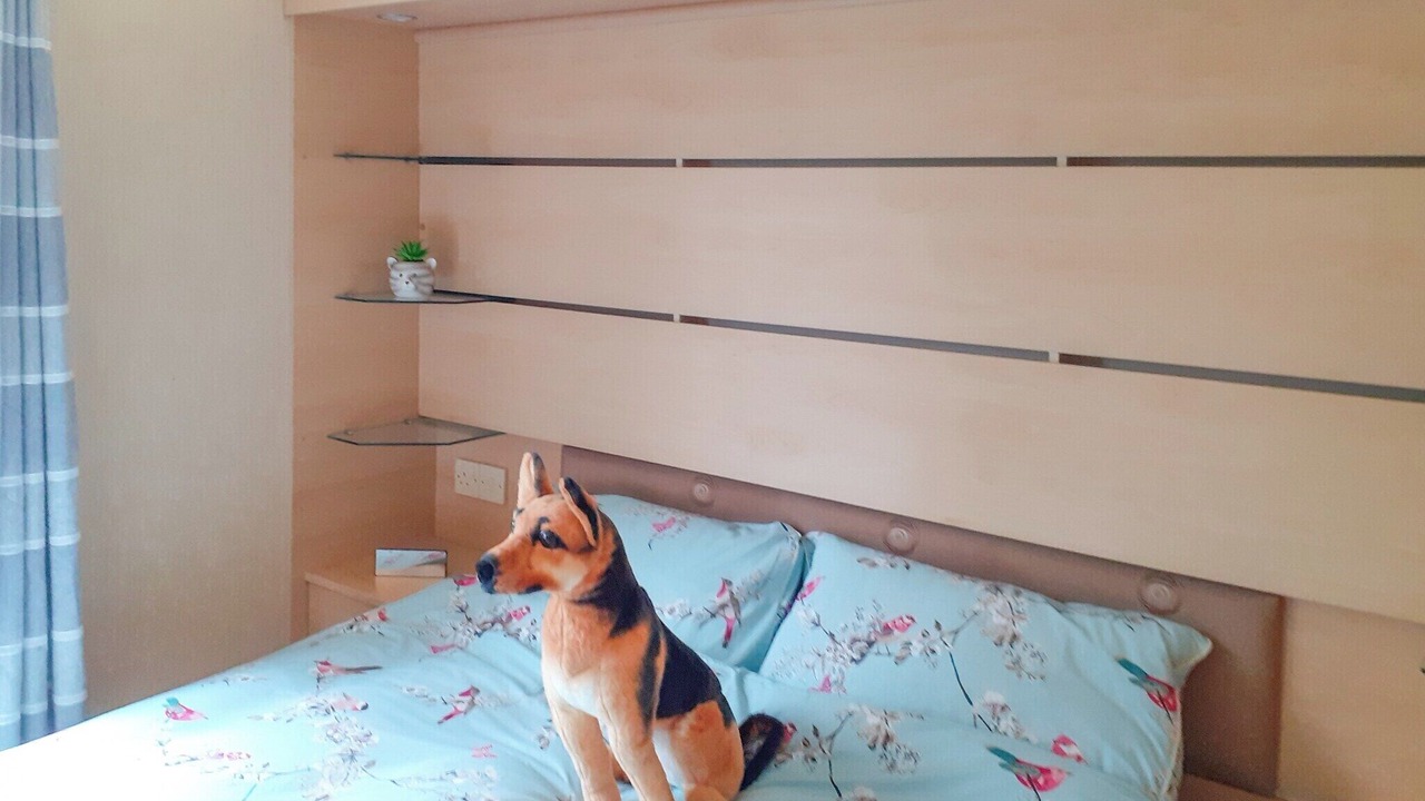 Photo of Others in Shaftesbury