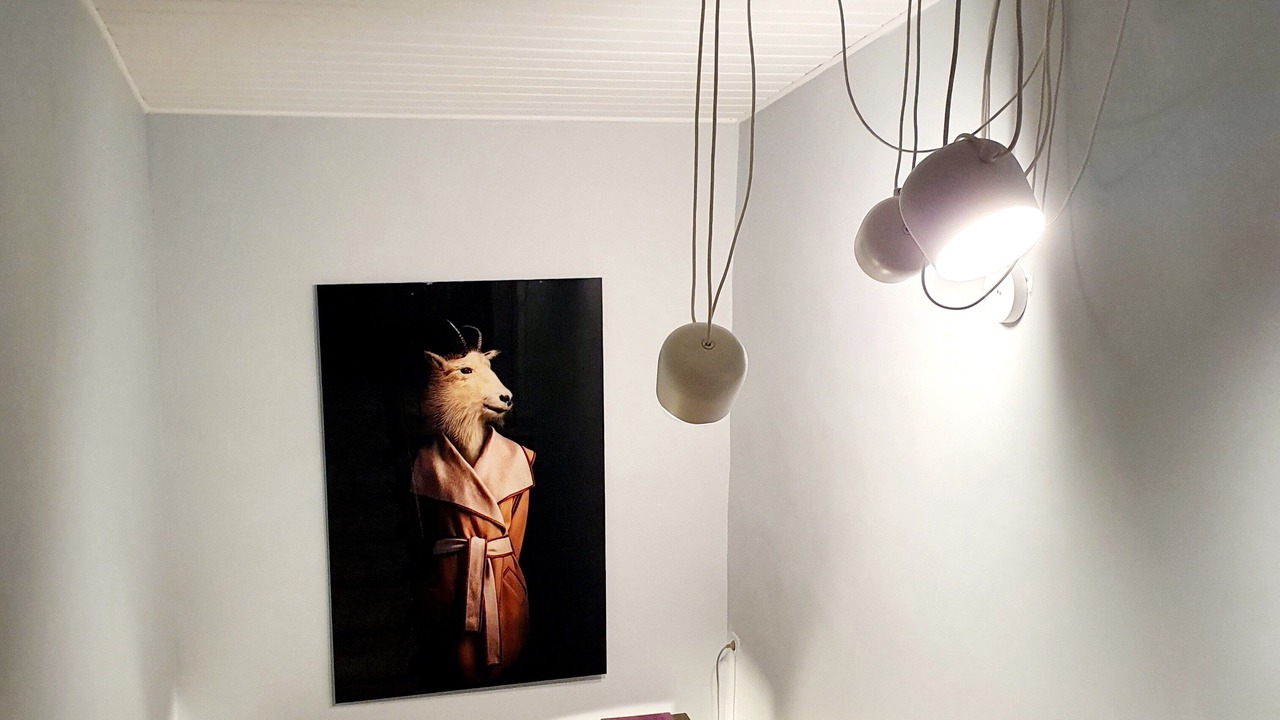 Photo of Others in La Bruguiere