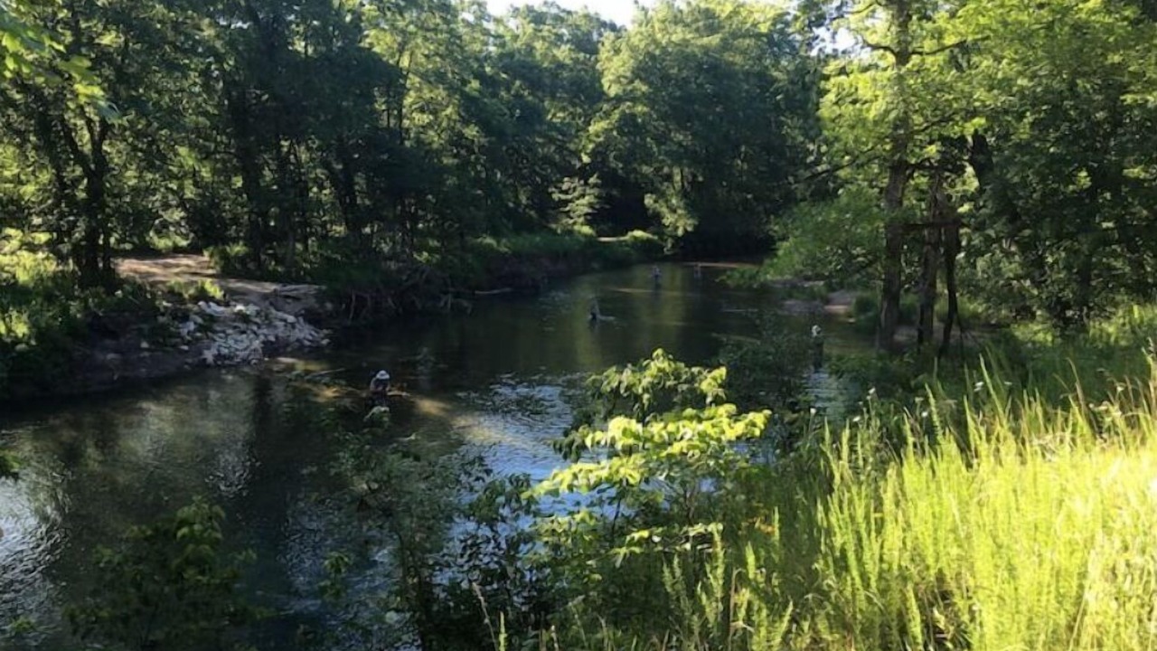 Photo of Outdoor in Hartshorn