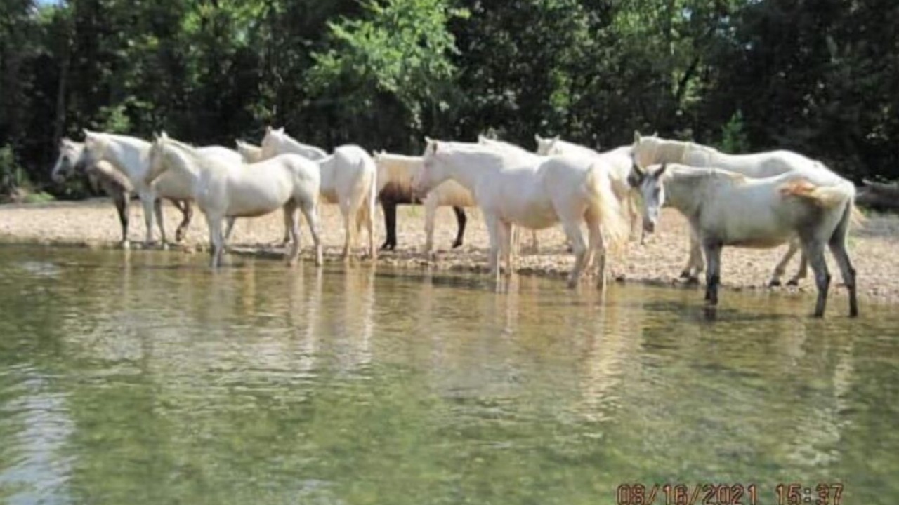 Photo of Outdoor in Hartshorn